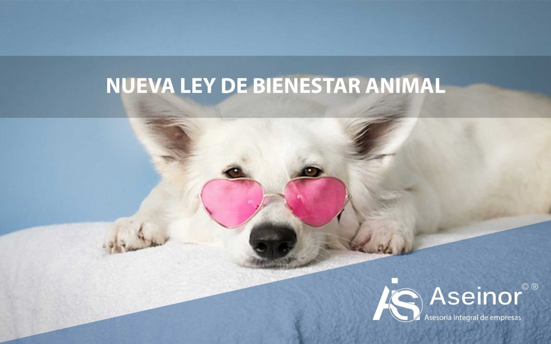 LEY DE BIENESTAR ANIMAL ASTURIAS