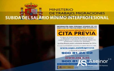 SUBIDA DEL SALARIO MINIMO INTERPROFESIONAL 2024